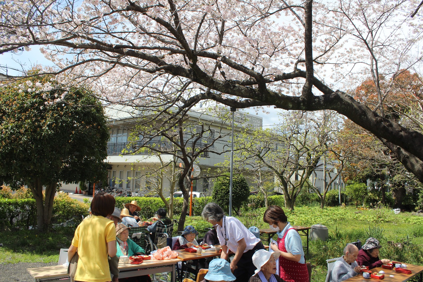 ５月　運動会