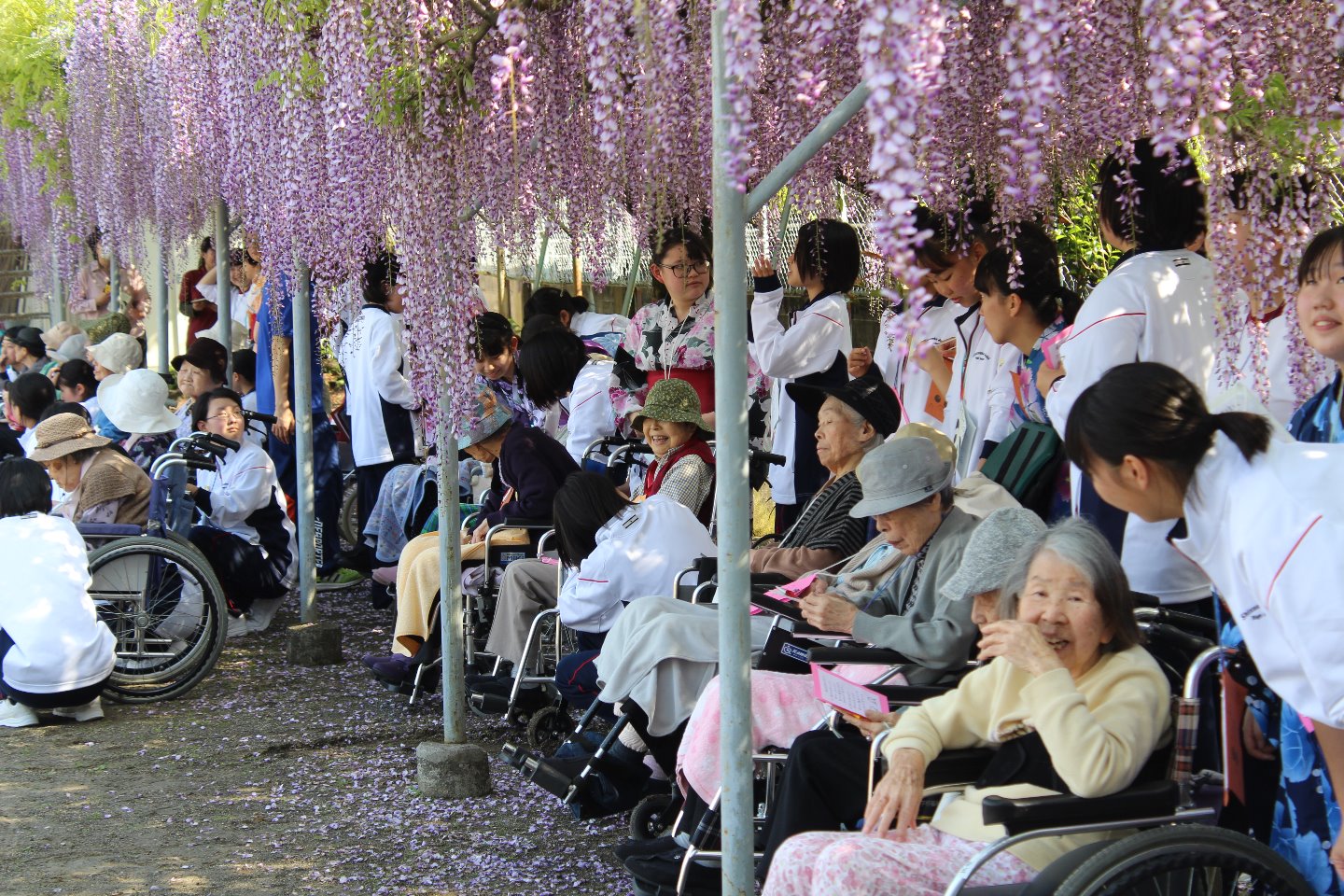 ８月　夏祭り